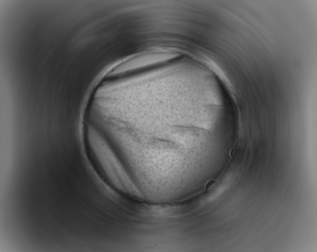 X0000094330803200711161948