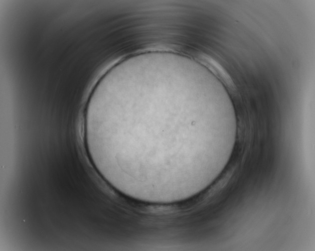 X0000094330804200711161948