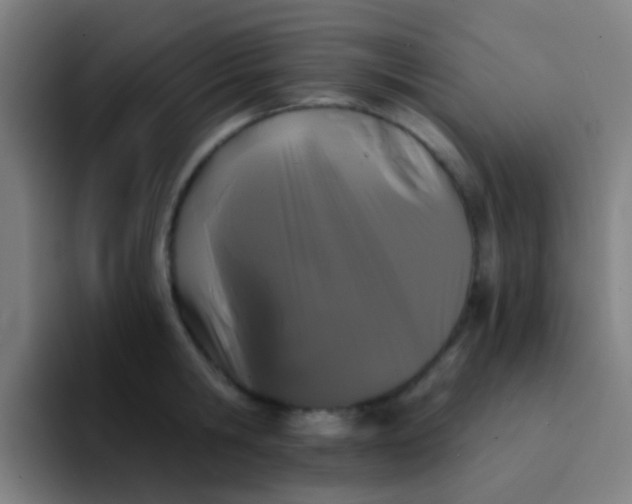X0000094330806200711161948