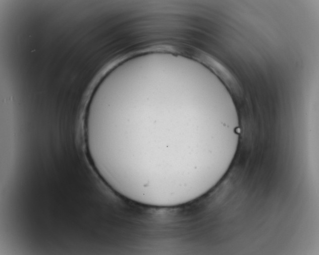 X0000094330808200711161948
