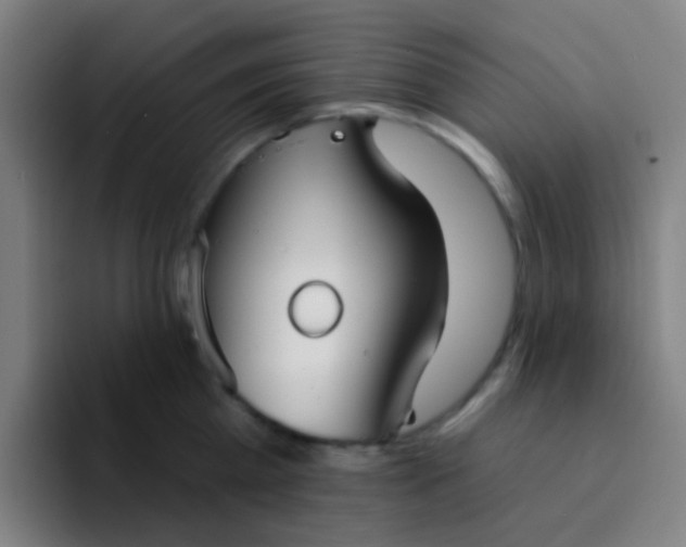 X0000094330809200711161948
