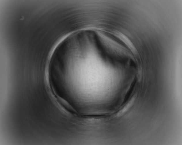 X0000094330812200711161948