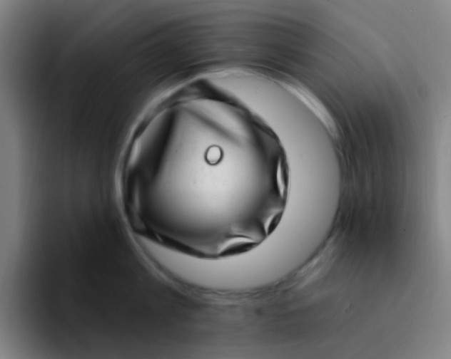 X0000094330813200711161948