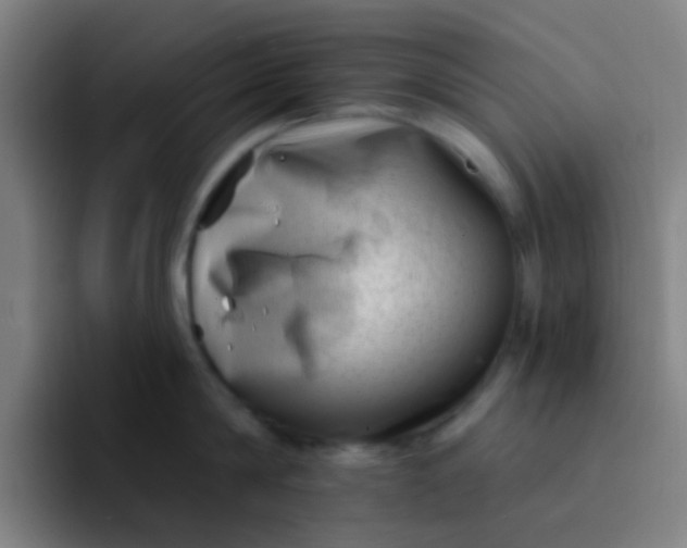 X0000094330814200711161948