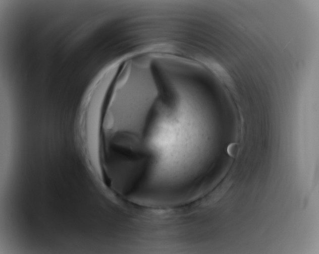 X0000094330816200711161948