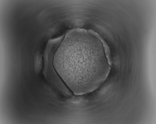 X0000094330818200711161948