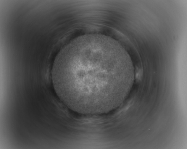 X0000094330819200711161948