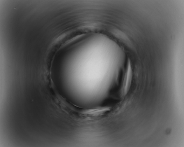 X0000094330822200711161948