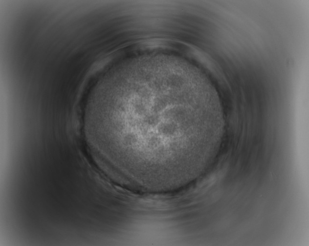 X0000094330823200711161948
