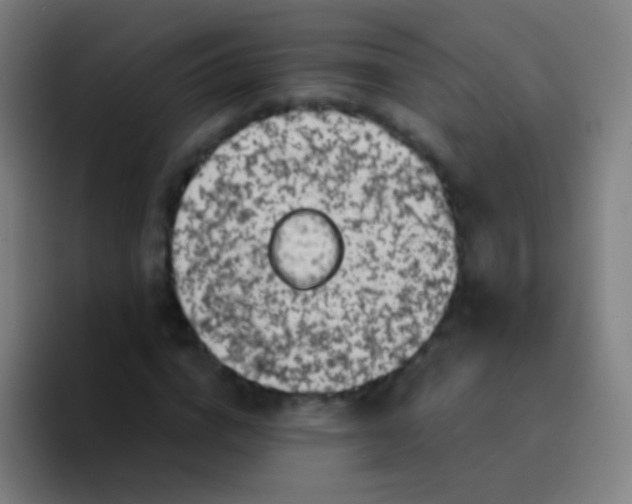 X0000094330824200711161948