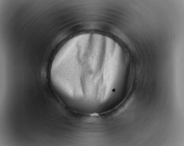 X0000094330826200711161948