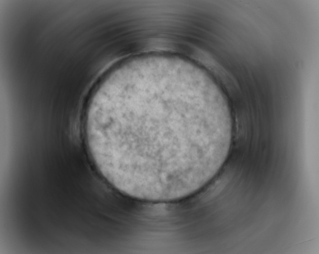 X0000094330828200711161948