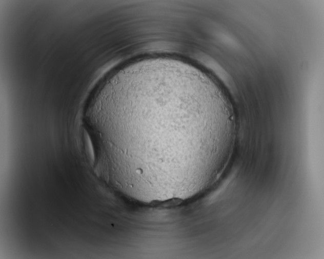 X0000094330829200711161948