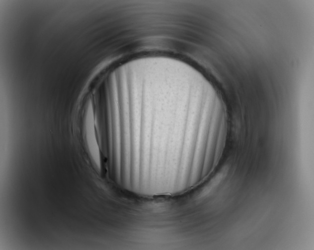 X0000094330830200711161948