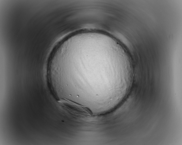 X0000094330831200711161948