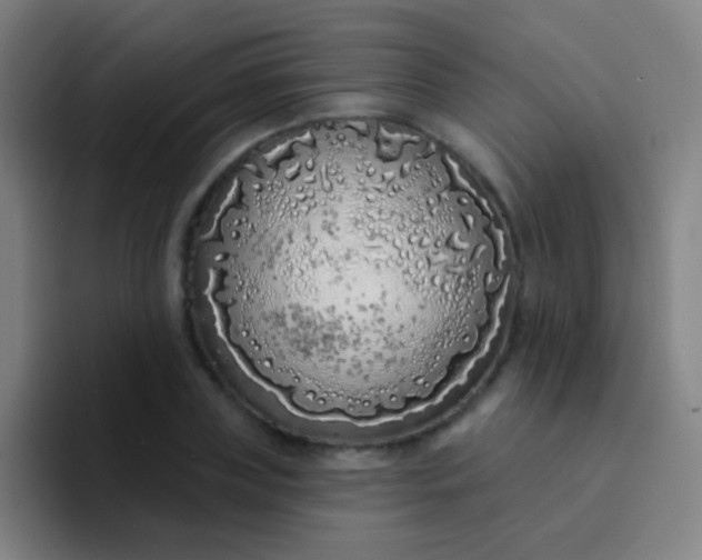 X0000094330835200711161948