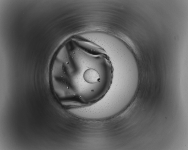 X0000094330836200711161948