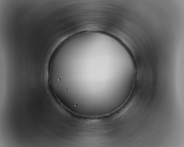 X0000094330837200711161948