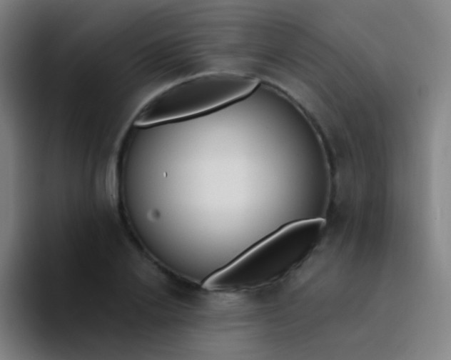 X0000094330838200711161948