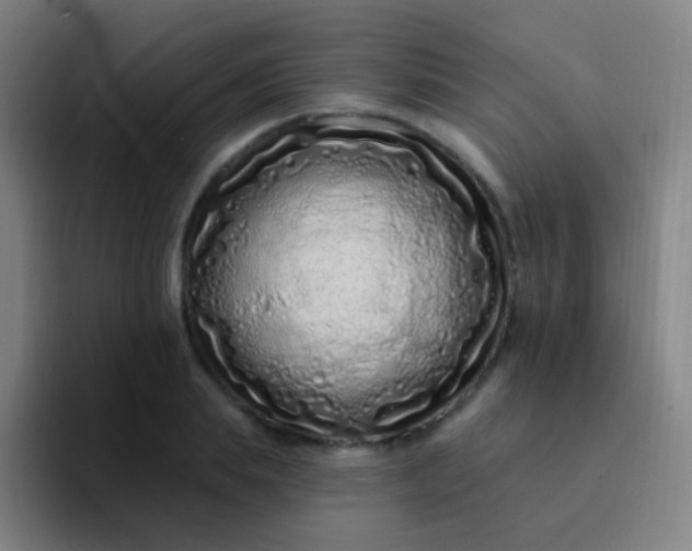 X0000094330839200711161948