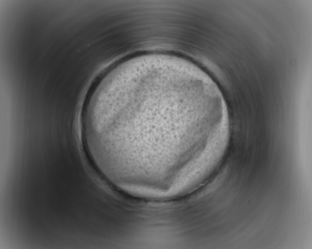 X0000094330840200711161948