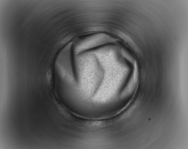 X0000094330841200711161948