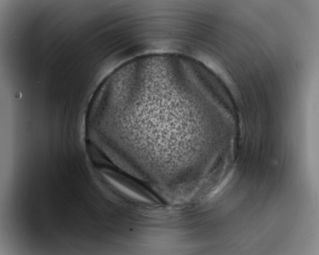 X0000094330842200711161948