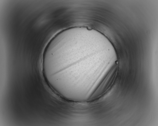 X0000094330844200711161948