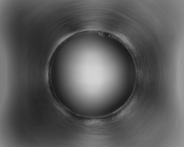 X0000094330846200711161948