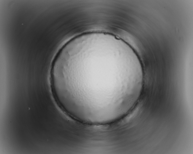 X0000094330847200711161948