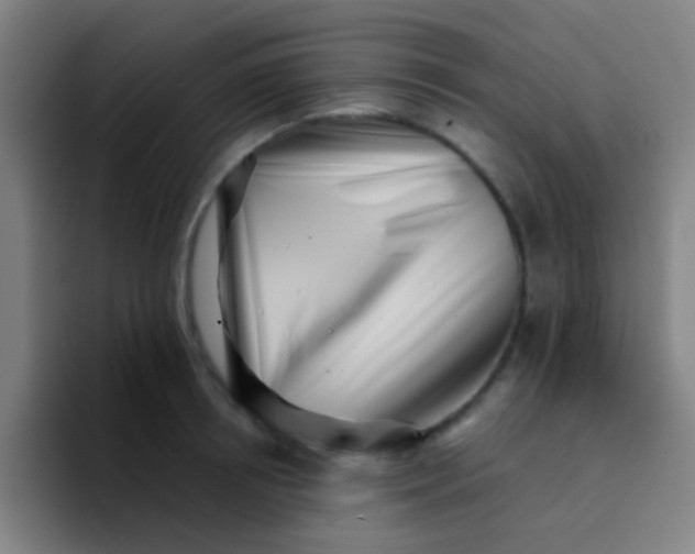X0000094330850200711161948