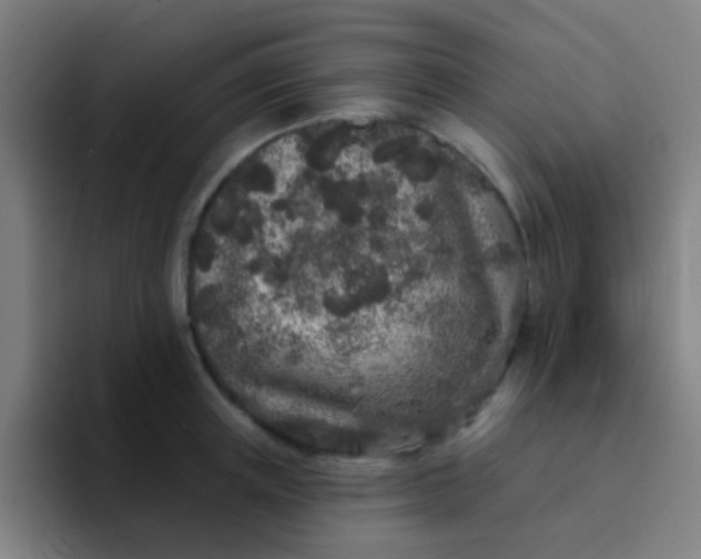 X0000094330851200711161948