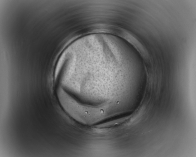 X0000094330852200711161948