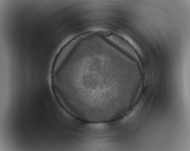 X0000094330853200711161948