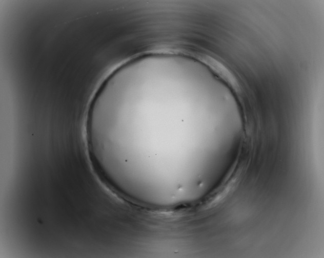 X0000094330855200711161948
