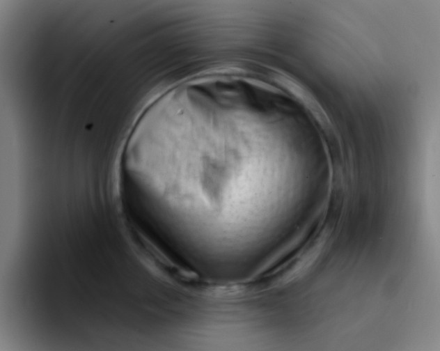 X0000094330858200711161948