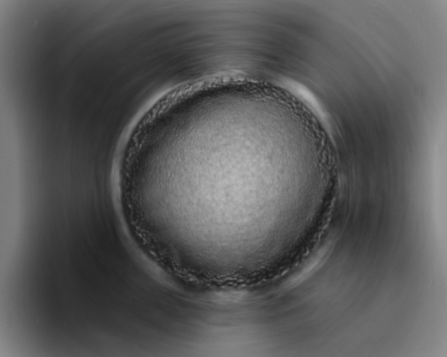 X0000094330859200711161948