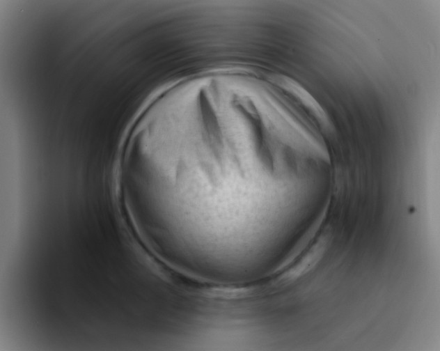 X0000094330860200711161948