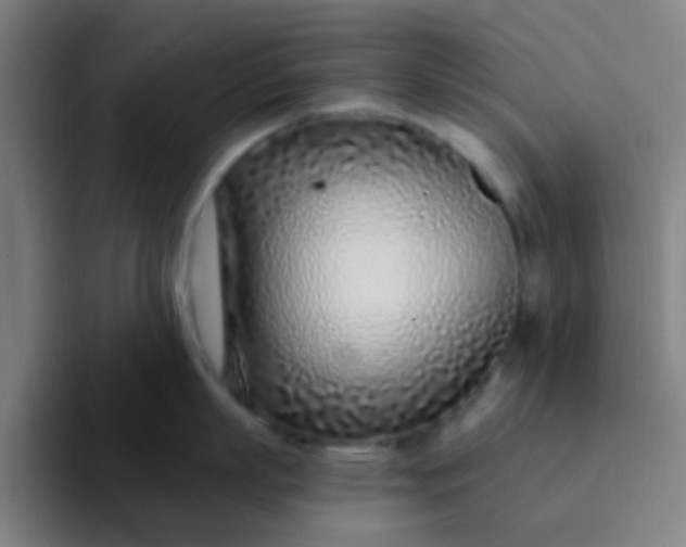 X0000094330863200711161948