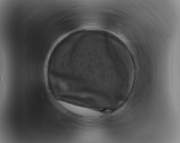 X0000094330864200711161948