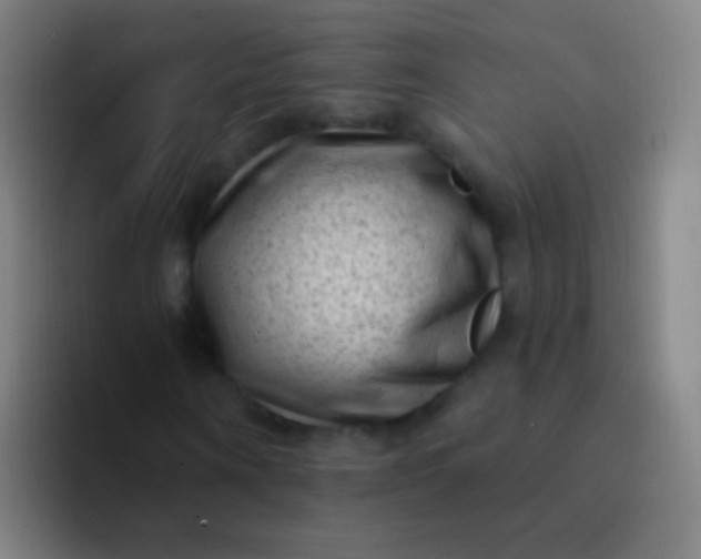 X0000094330866200711161948