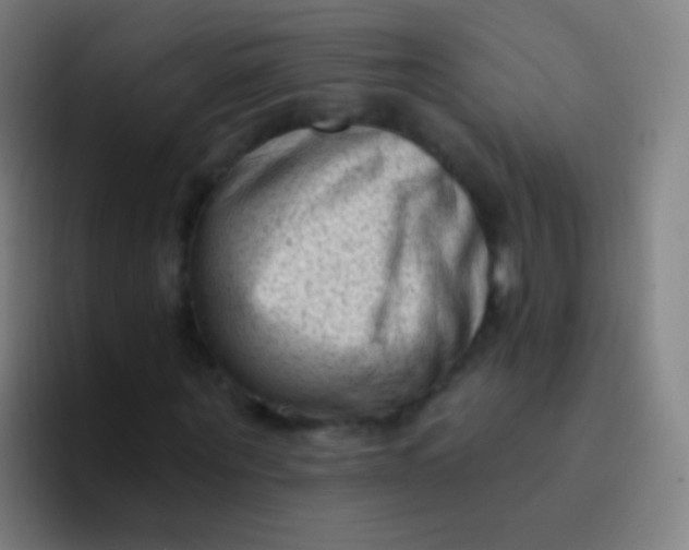 X0000094330867200711161948