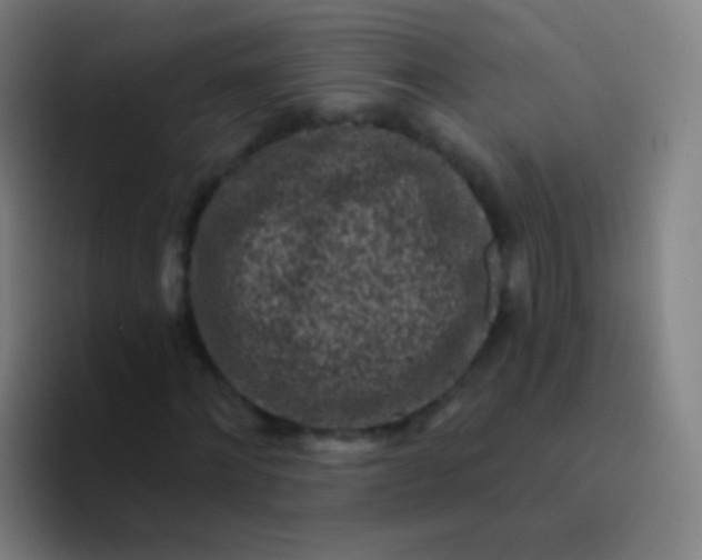 X0000094330868200711161948