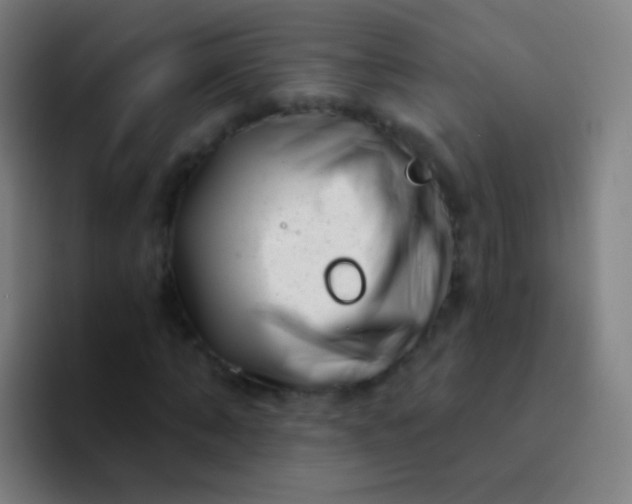 X0000094330870200711161948