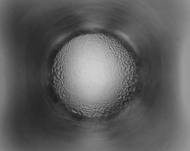 X0000094330871200711161948