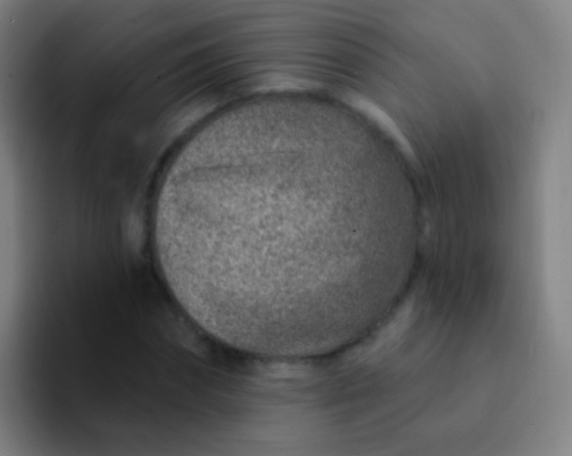 X0000094330874200711161948
