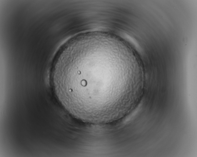 X0000094330875200711161948
