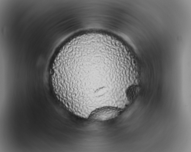 X0000094330879200711161948