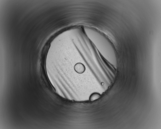 X0000094330880200711161947