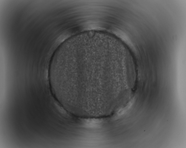 X0000094330881200711161947